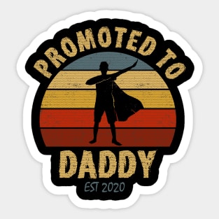 Promoted to Daddy 2020 co Sticker